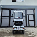 4W - AVIA MINIBUS 6-seater 60v20ah (brandnew, 3mos warranty)