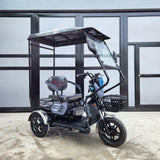 3W - P1 48v20ah1000w (brandnew, 3mos warranty)