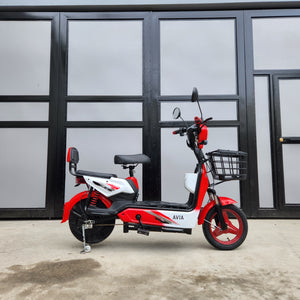 2W - DS ebike 48v (brandnew, 3mos warranty)
