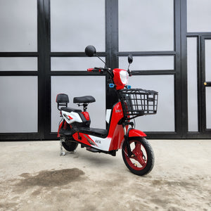 2W - DS ebike 48v (brandnew, 3mos warranty)