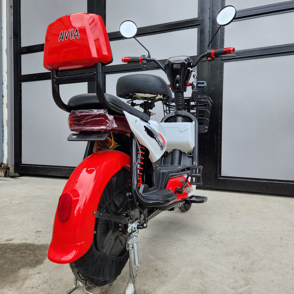 2W - DS ebike 48v (brandnew, 3mos warranty)