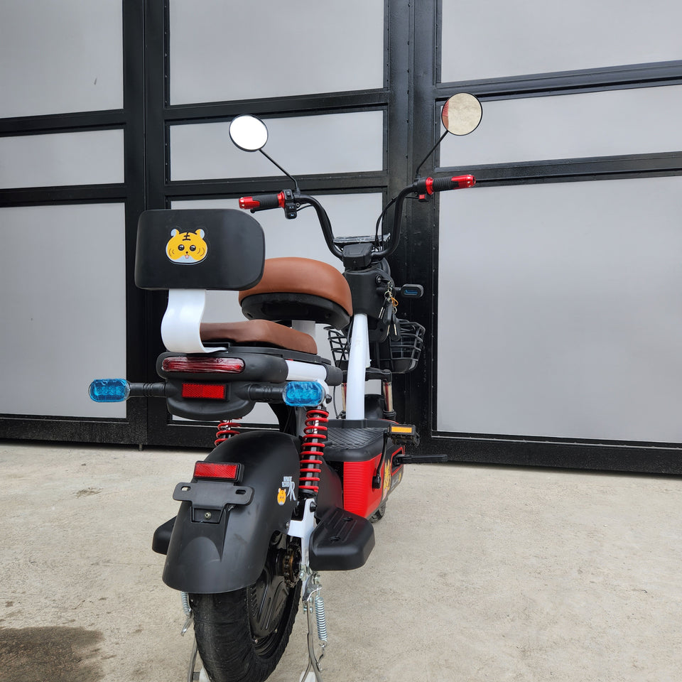 2W - Beta ebike 48v (brandnew, 3mos warranty)