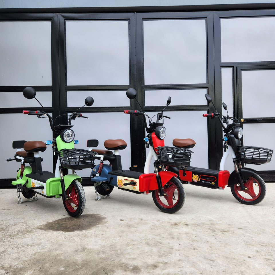 2W - Beta ebike 48v (brandnew, 3mos warranty)