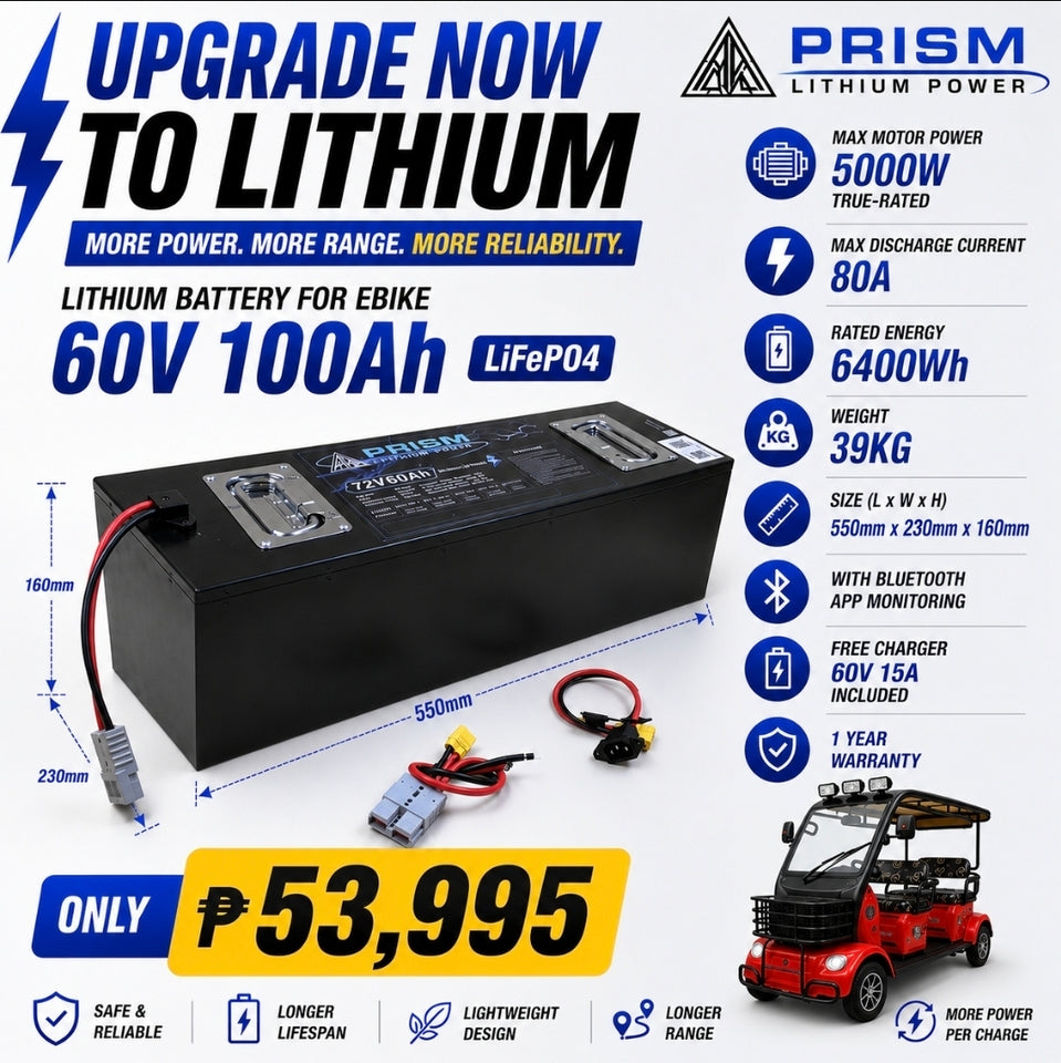 Lithium Battery w/ Charger - 60V100AH (12 months Warranty)